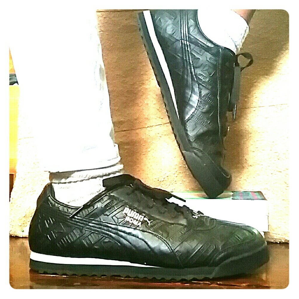 Puma Romas